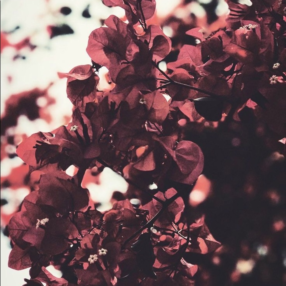 Meet your Posher, Leah